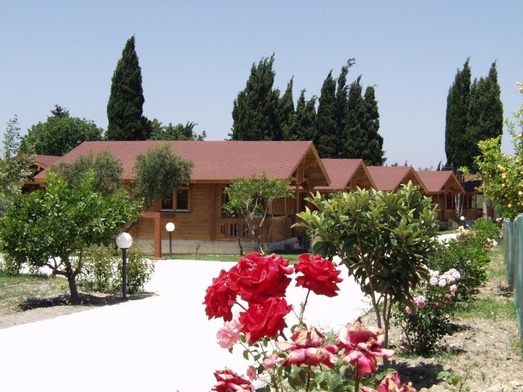 بلدة كوس Sandy'S Studios Apartments & Log-Villas المظهر الخارجي الصورة
