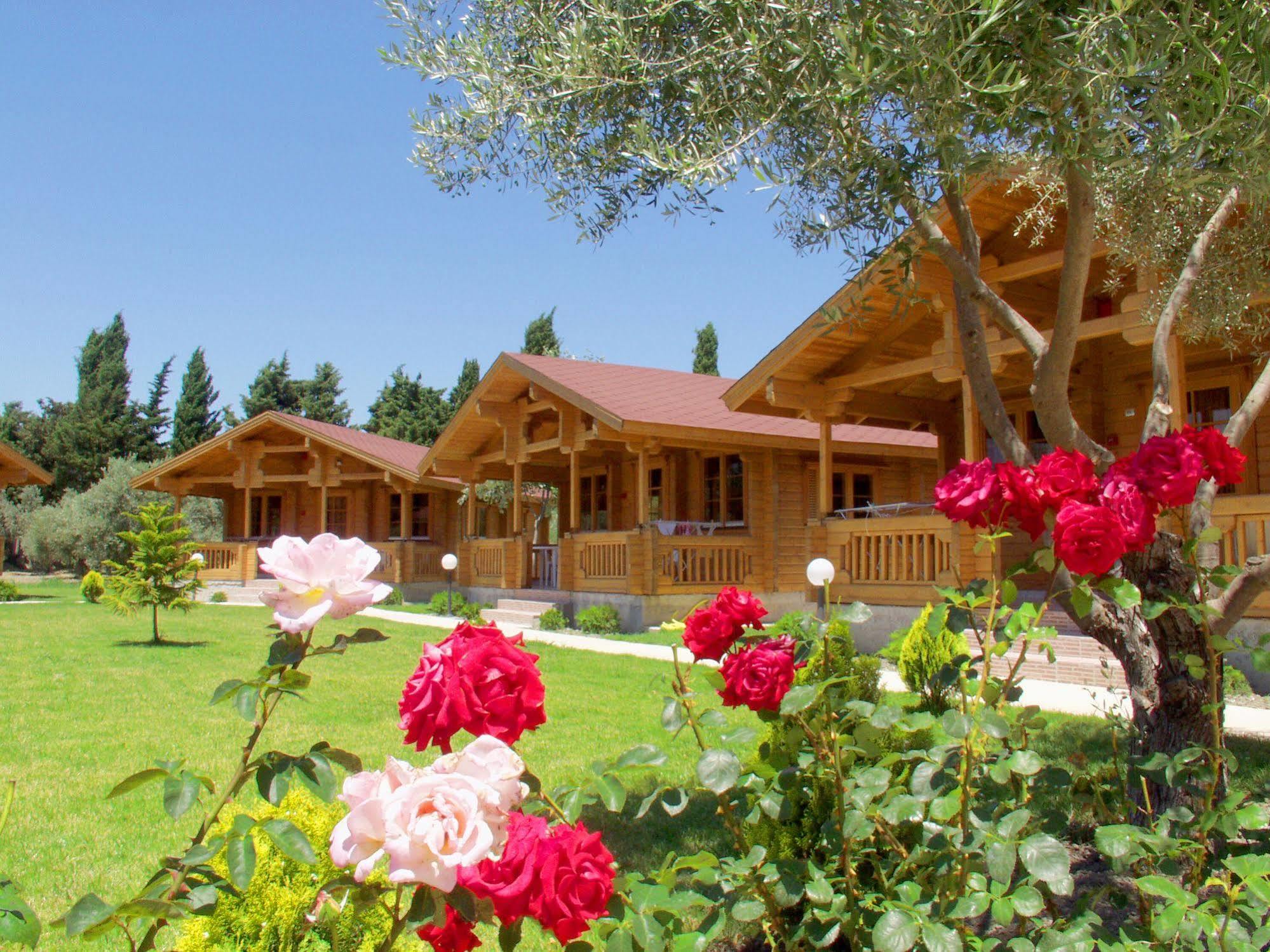 بلدة كوس Sandy'S Studios Apartments & Log-Villas المظهر الخارجي الصورة